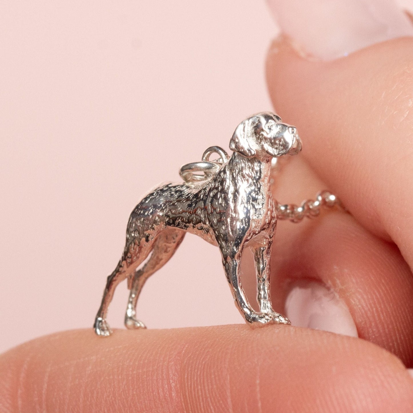 Great Dane Silver Necklace - Personalised - MYLEE London