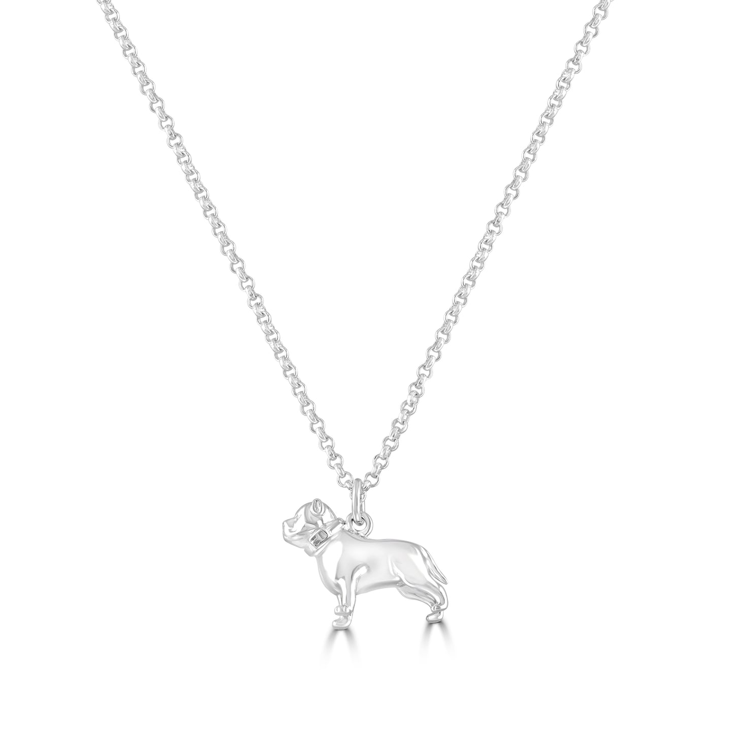 Collar de plata de Pitbull - Personalizado