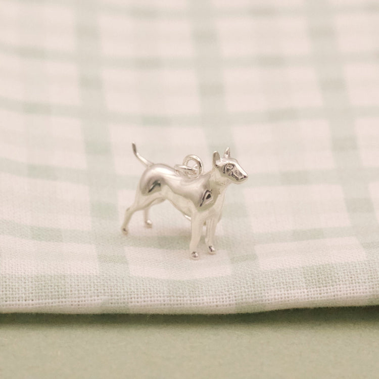 English Bull Terrier - MYLEE London