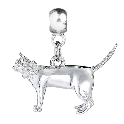 Short-Haired Cat Silver Charm