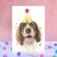 Dog Birthday Card