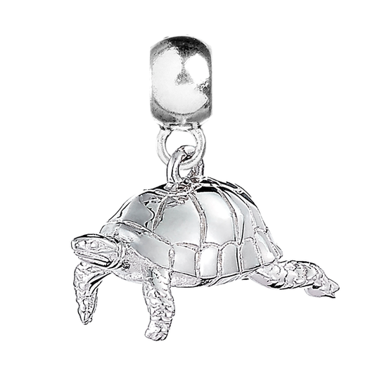 Tortoise Silver Charm