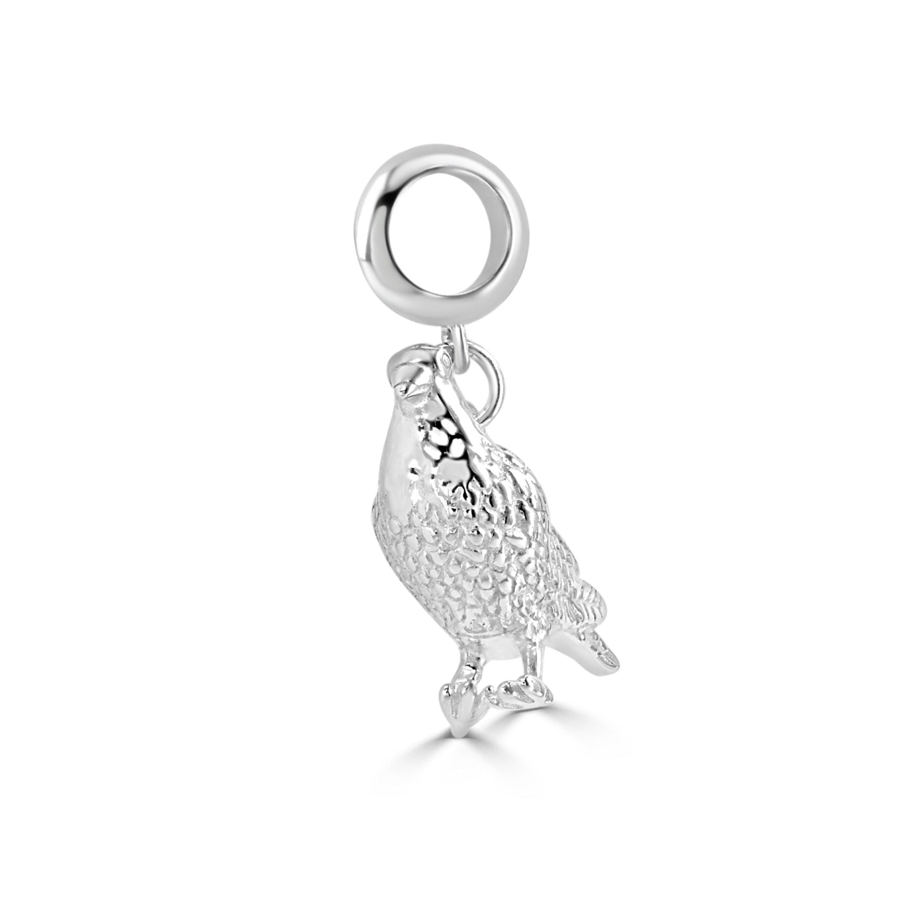 Racing Pigeon Silver Charm - MYLEE London