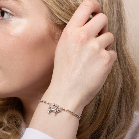 Short - Haired Cat Silver Ball Bead Bracelet - Personalised - MYLEE London