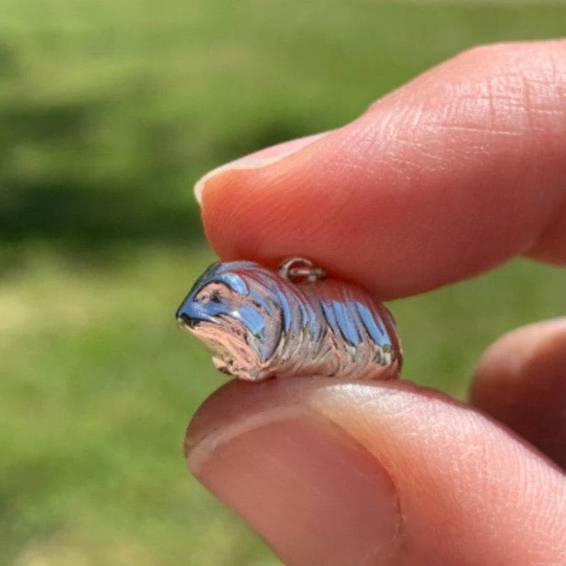 Long Haired Guinea Pig Silver Charm